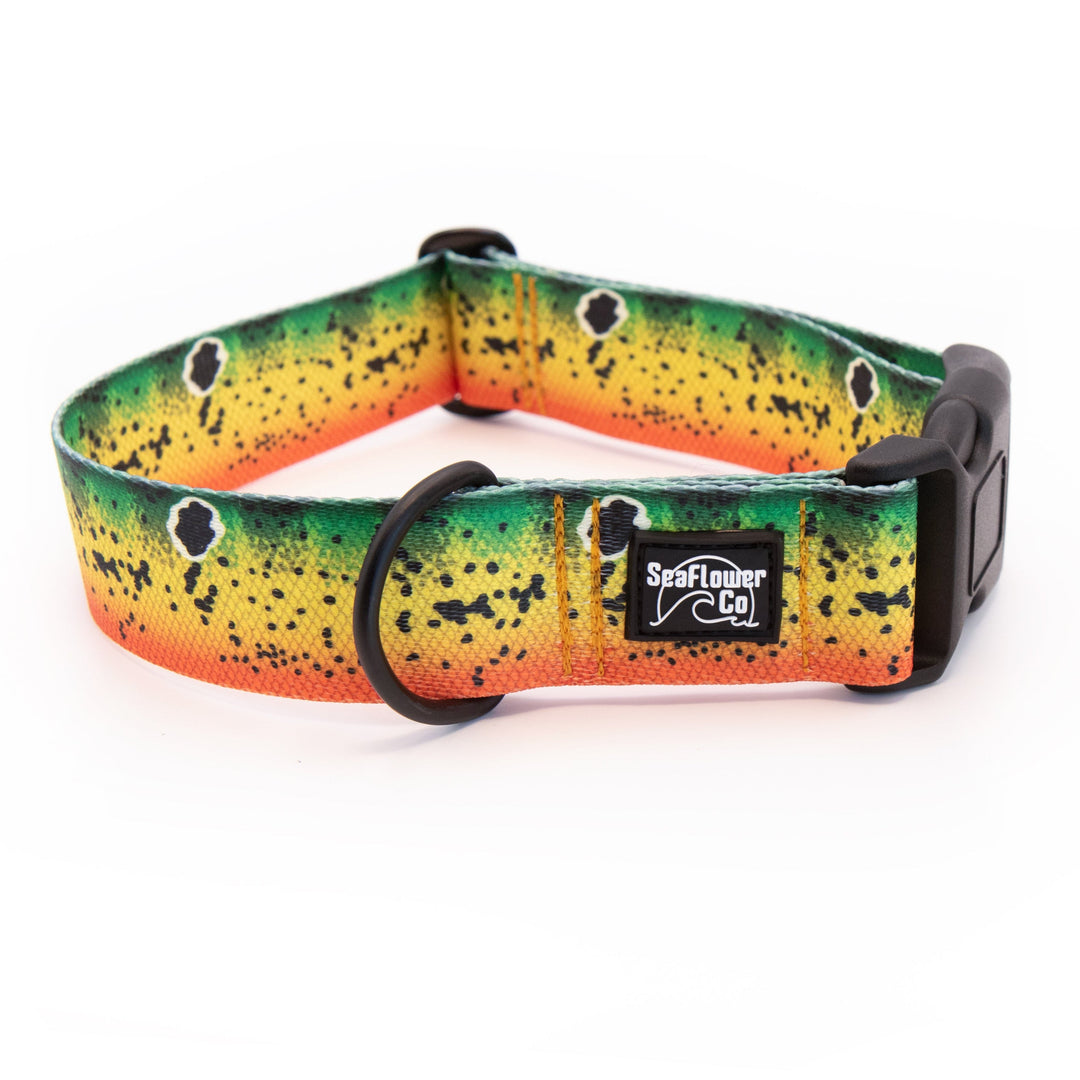 Peacock Bass Dog Collar | SeaFlower Co