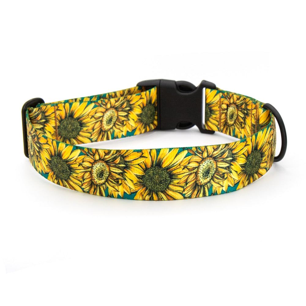 Dog collar with sunflower pattern on a white background