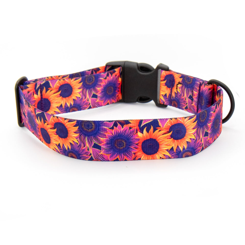 Purple Sunflower Dog Collar | Stylish & Durable Floral Dog Gear