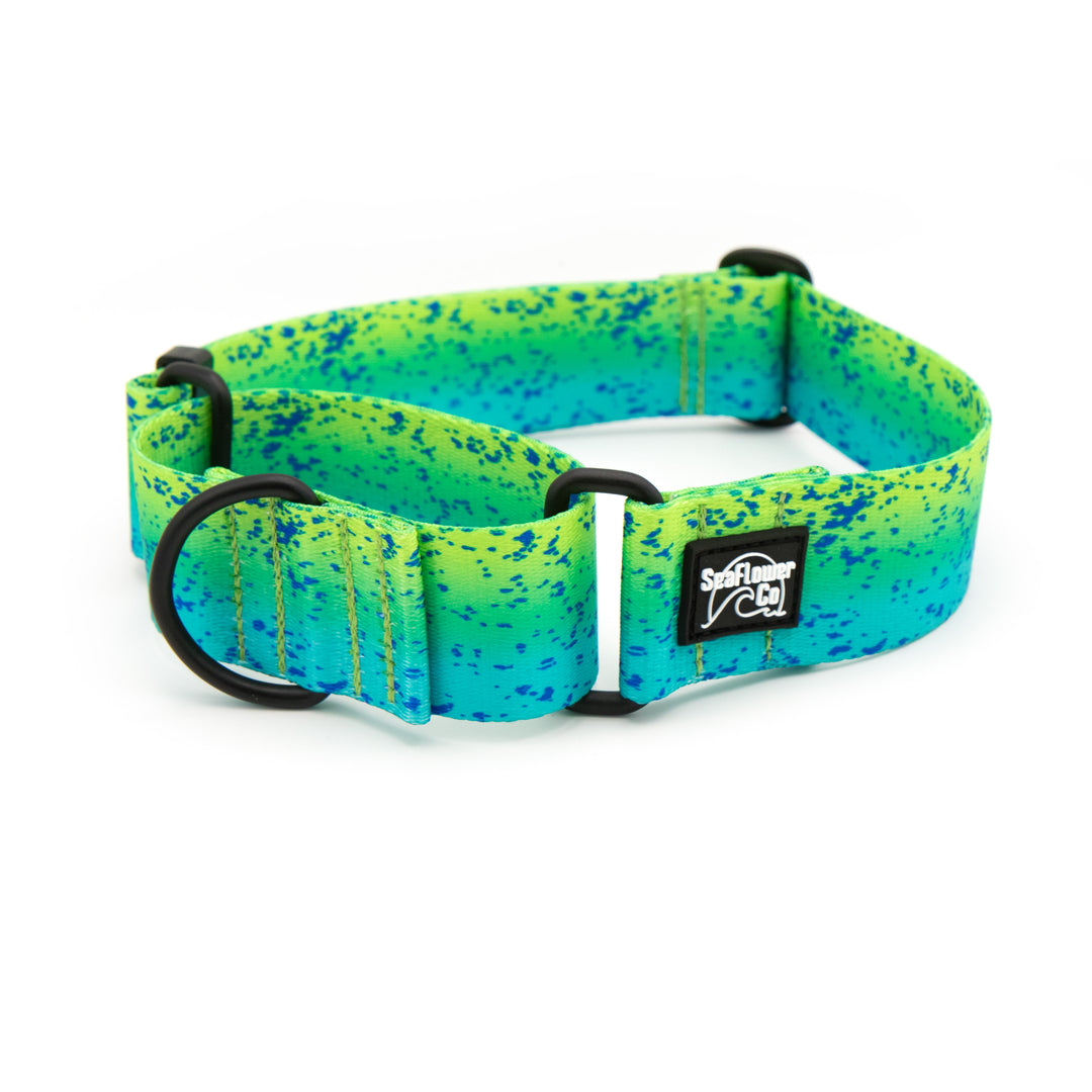 Mahi Mahi Martingale Dog Collar | SeaFlower Co