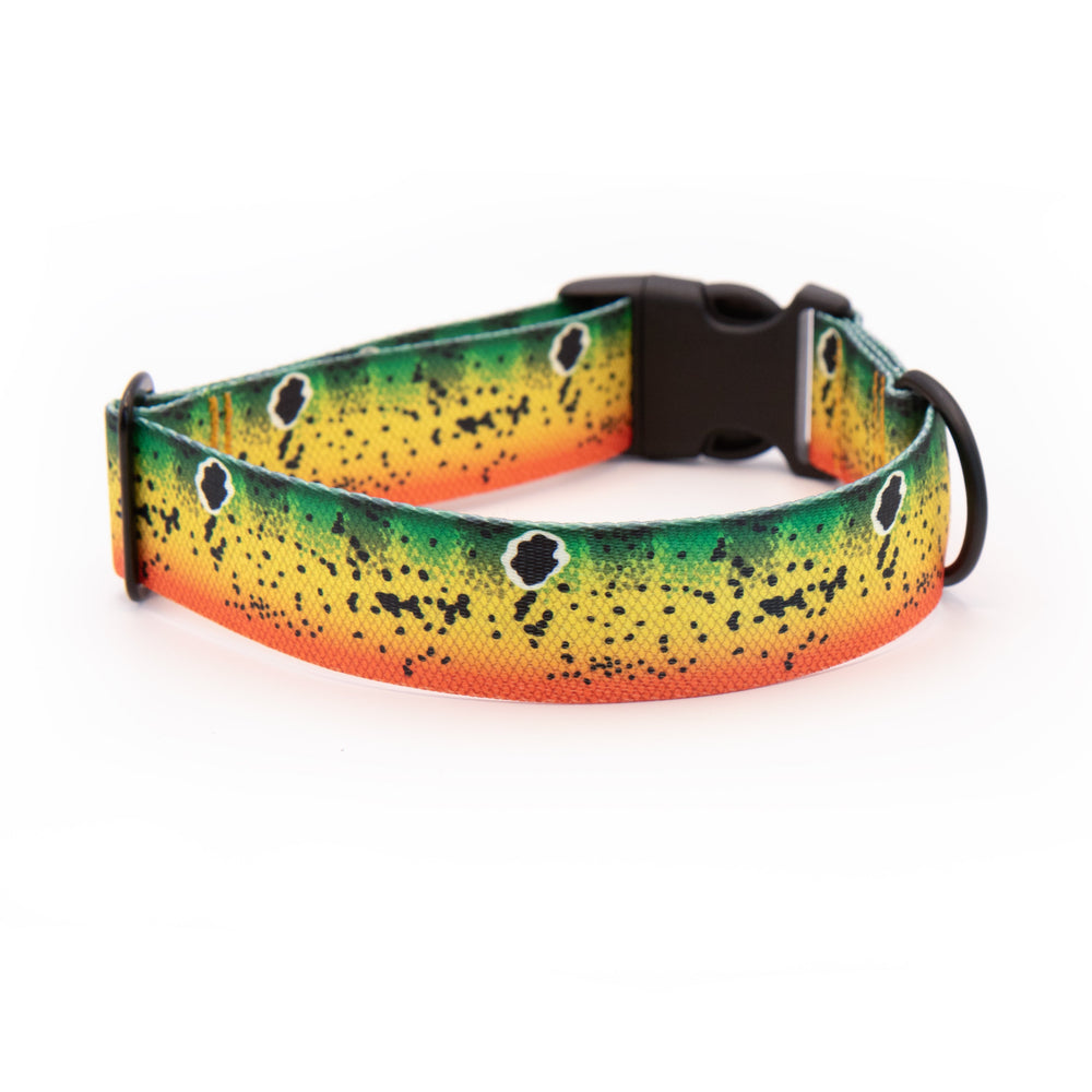 Peacock Bass Dog Collar | SeaFlower Co