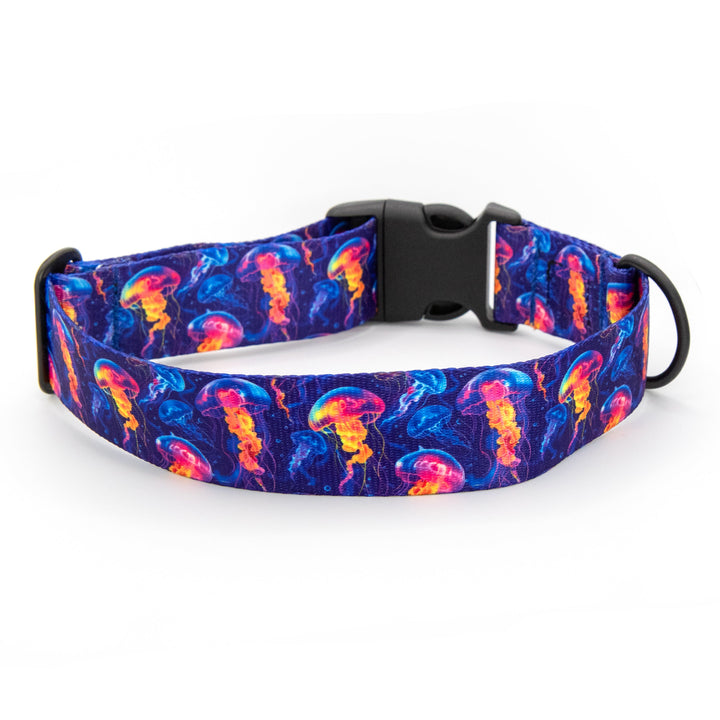 Dog collar with jellyfish pattern on a white background