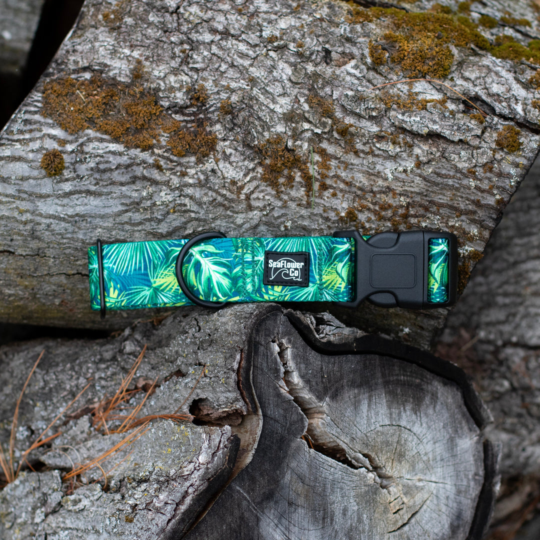 Dog collar with leaf pattern on a wooden log