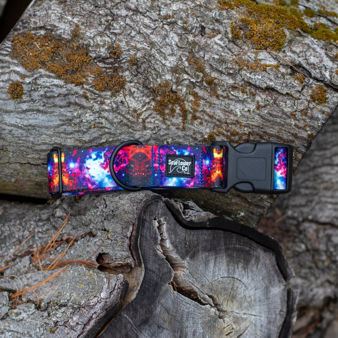Colorful dog collar with galaxy design on a wooden surface