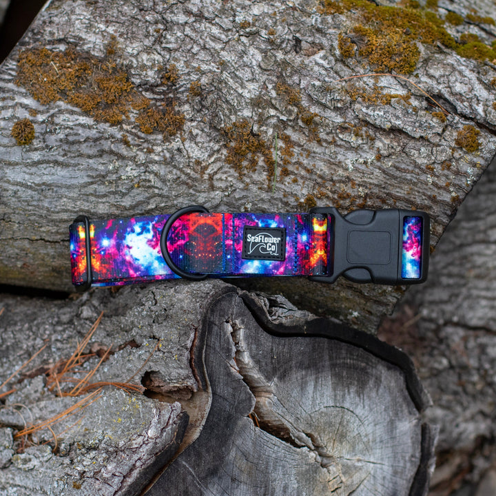 Colorful dog collar with galaxy design on a wooden surface