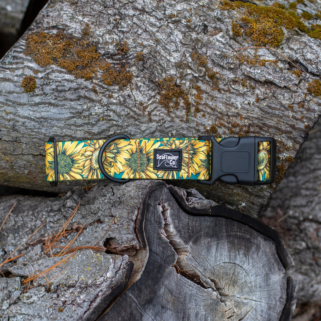 Dog collar with sunflower pattern on a stack of logs
