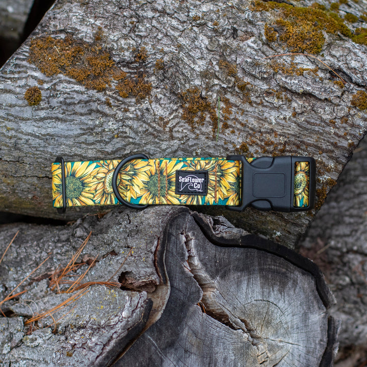 Dog collar with sunflower pattern on a stack of logs