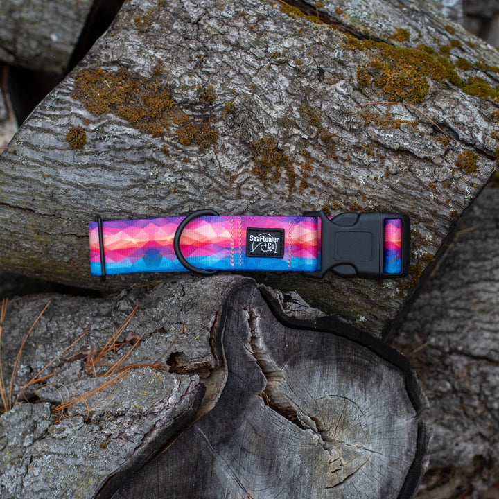 Dog collar with colorful design on a wooden log