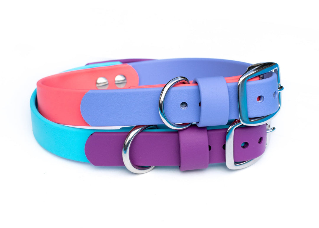 Two Toned BioThane Dog Collars | Waterproof Pet Gear