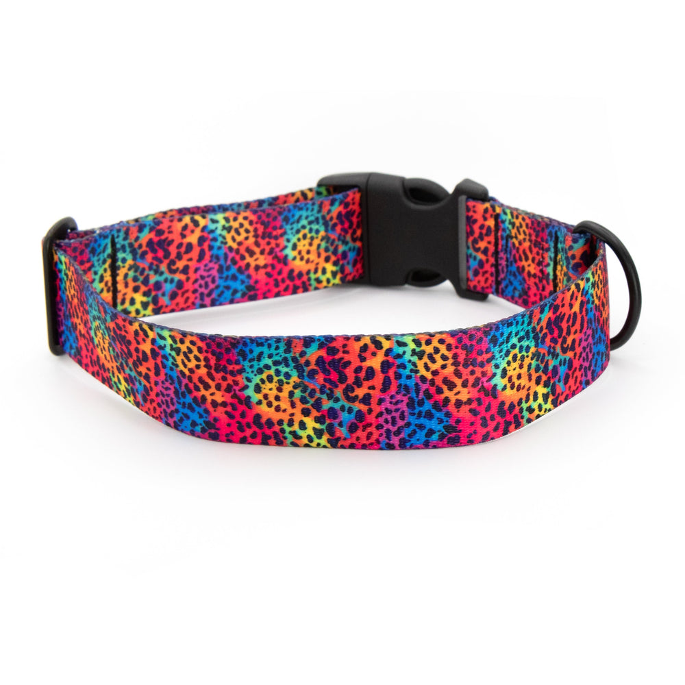 Rainbow Leopard Dog Collar | Unique Dog Gear