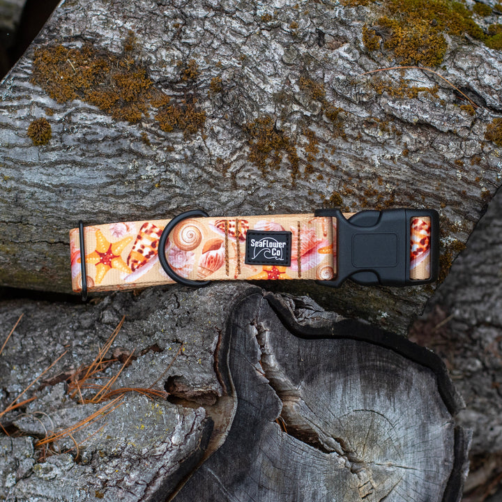Dog collar with a beach-themed design on a stack of logs