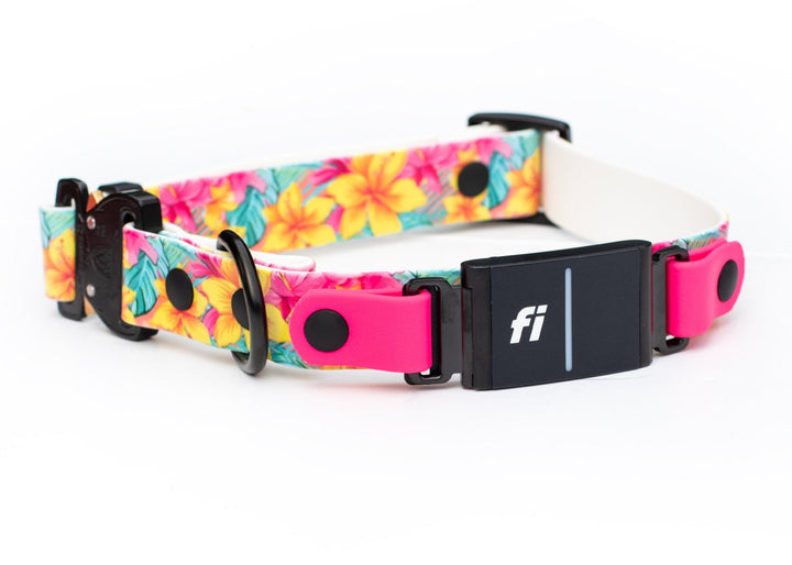 Fi Compatible 3/3+ Adjustable UV Printed BioThane® Dog Collar | SeaFlower Co
