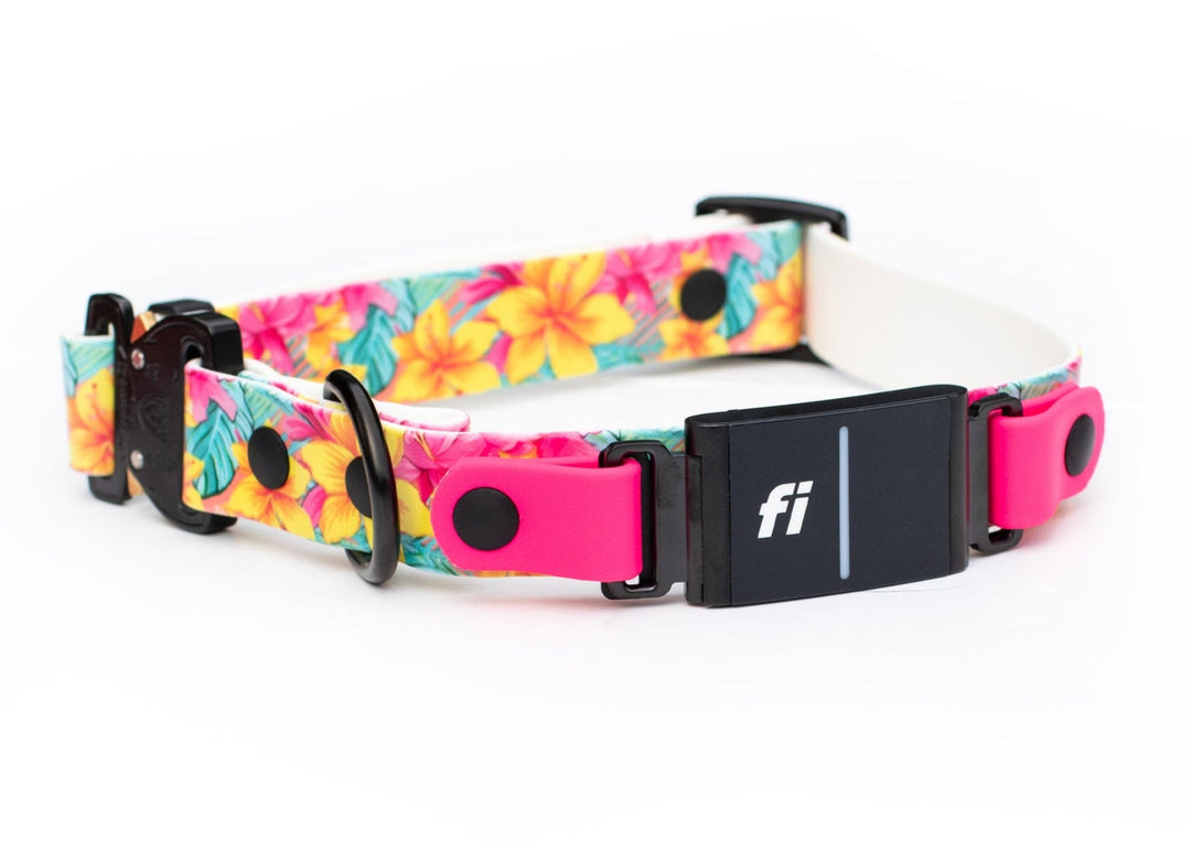 Fi Compatible 3/3+ Adjustable UV Printed BioThane® Dog Collar | SeaFlower Co