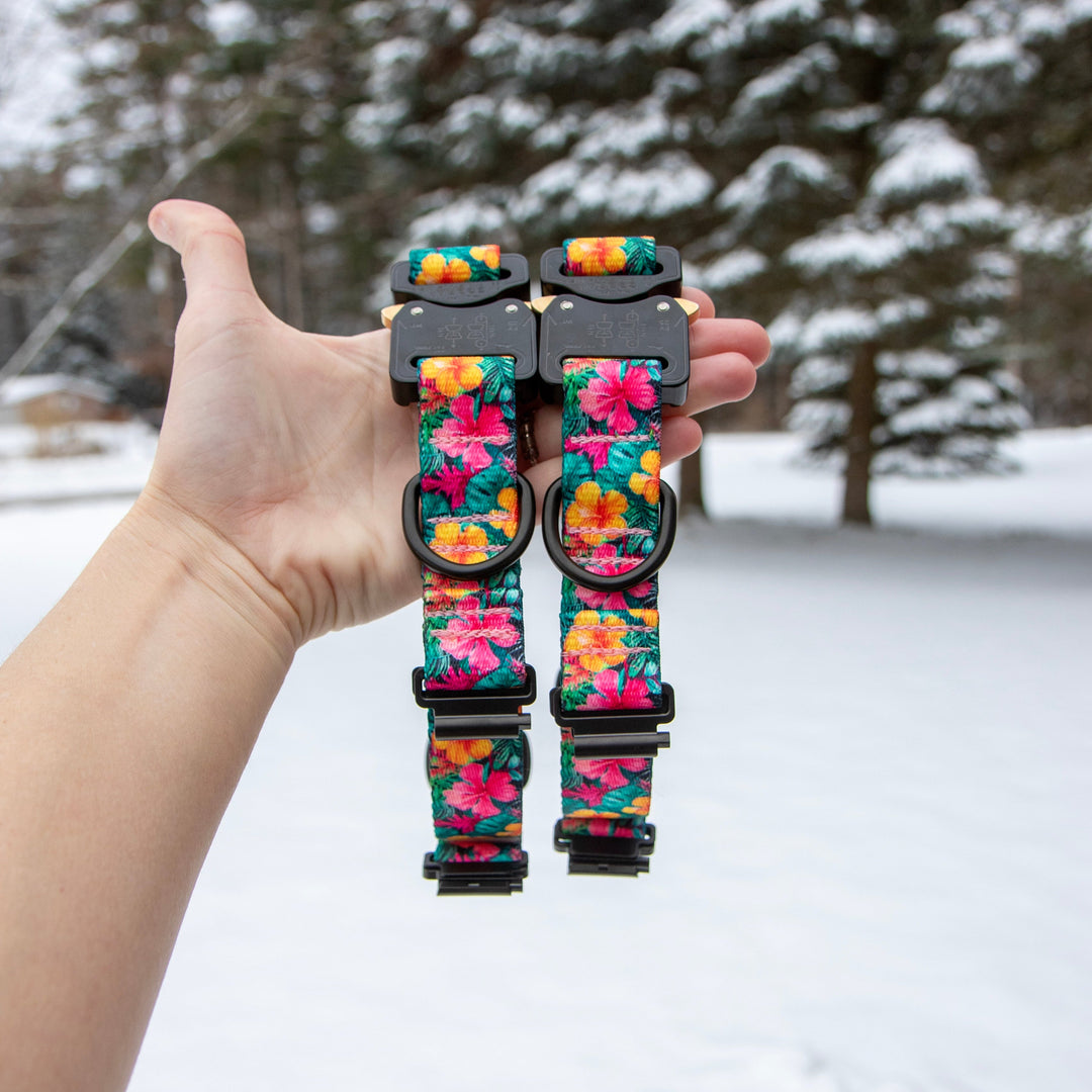 Hand holding two floral-patterned dog collars against a snowy background with trees.