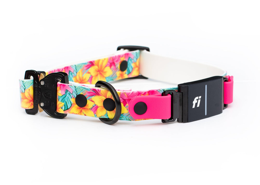 Fi Compatible 3/3+ Adjustable UV Printed BioThane® Dog Collar | SeaFlower Co