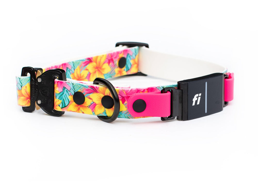 Fi Compatible 3/3+ Adjustable UV Printed BioThane® Dog Collar | SeaFlower Co