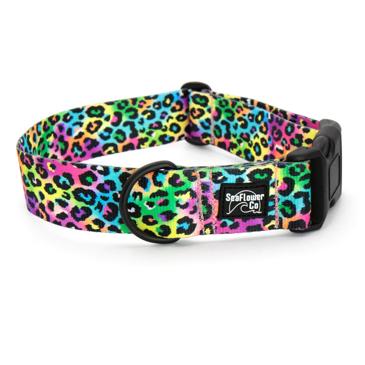 Colorful leopard print dog collar with a branded tag on a white background