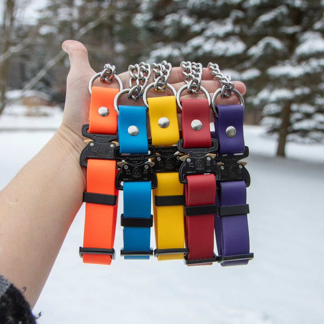 Colorful dog collars held by a hand against a snowy background