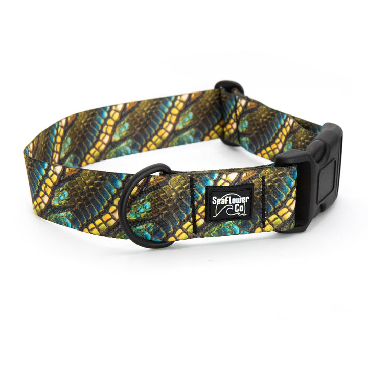 Green Dragon Scales Dog Collar | Unique Pet Gear