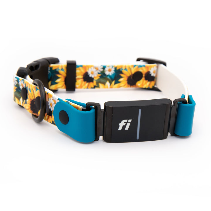 A dog collar with a yellow and black sunflower pattern, white daisy accents, with fi compatible 3/3+ tracker, shown on a clean white background.
