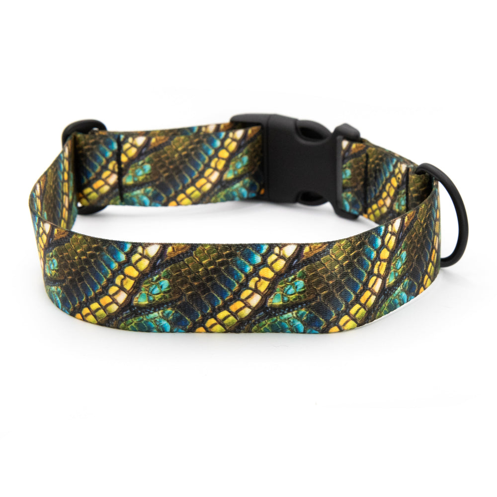 Dog collar with a colorful pattern on a white background
