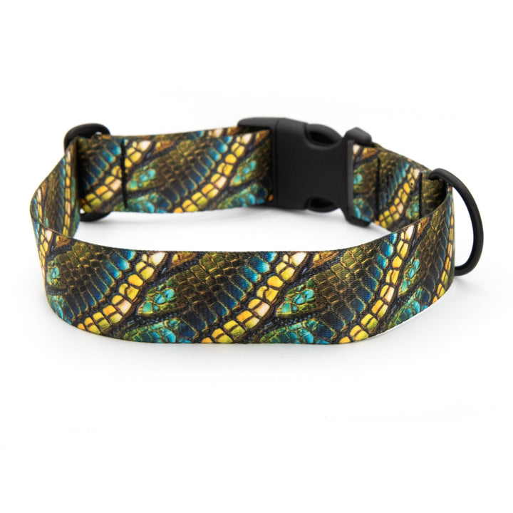 Dog collar with a colorful pattern on a white background
