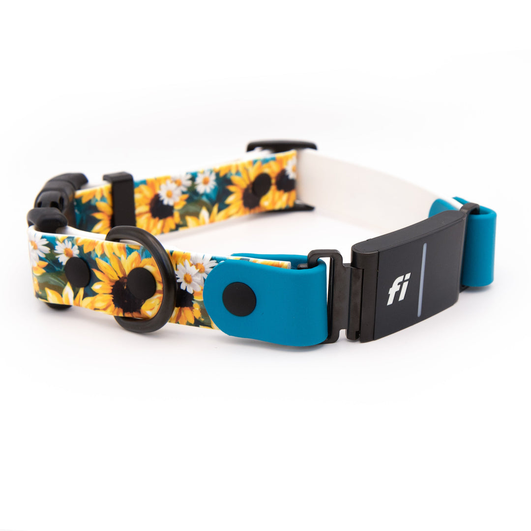 A dog collar with a yellow and black sunflower pattern, white daisy accents, shown on a clean white background.