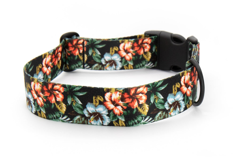 Floral-patterned dog collar on a white background