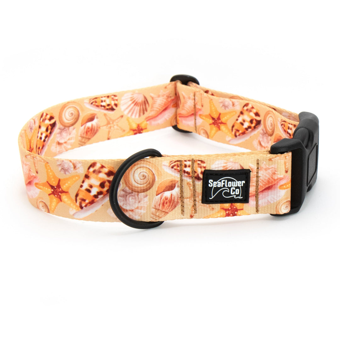 Dog collar with shell pattern on a white background