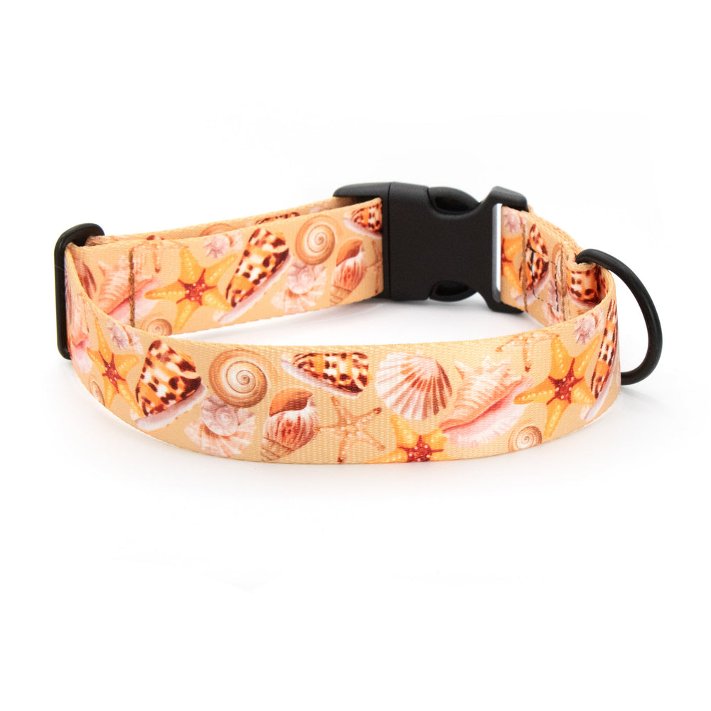 Dog collar with shell pattern on a white background