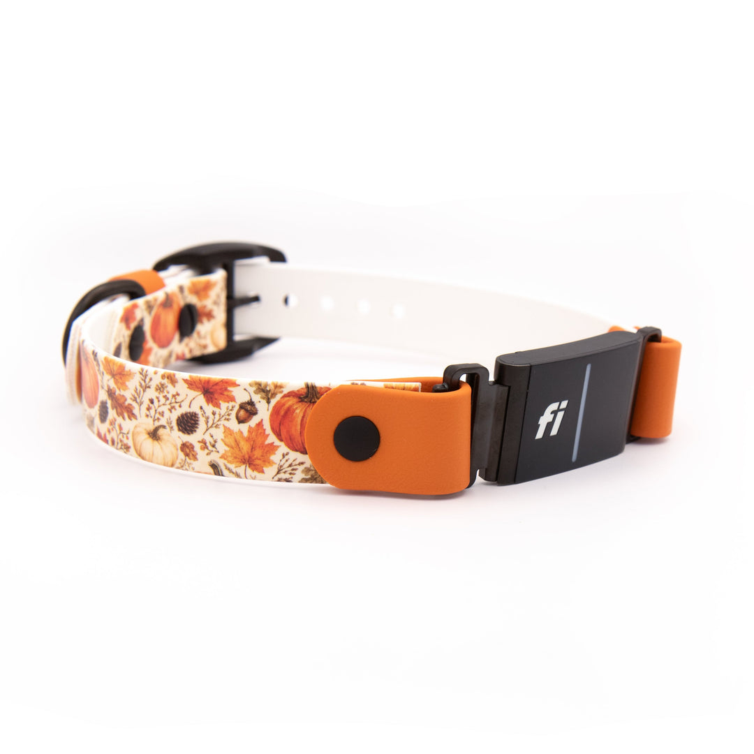 A pet collar with a white adjustable strap featuring a fall leaf pattern, orange plastic accents, and a black electronic transmitter device.