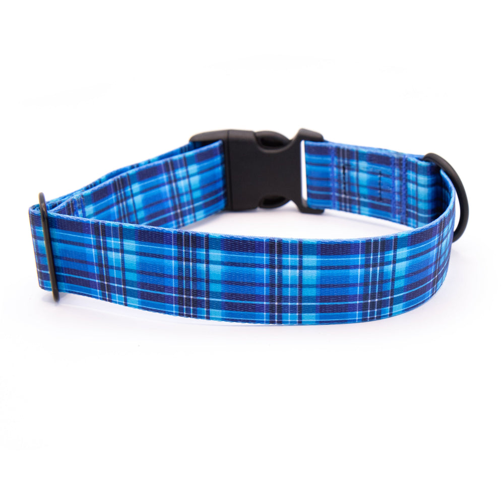 Blue plaid dog collar on a white background