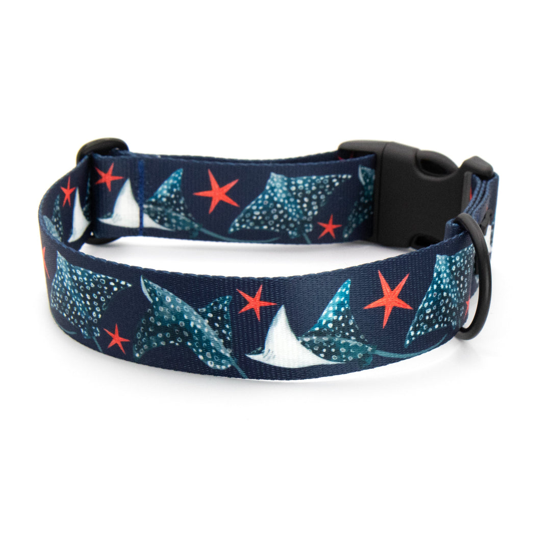 Spotted Eagle Ray Durable Dog Collar | SeaFlower Co