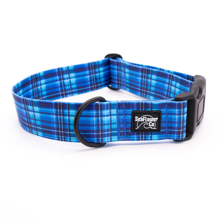 Blue plaid dog collar with a visible brand logo on a white background