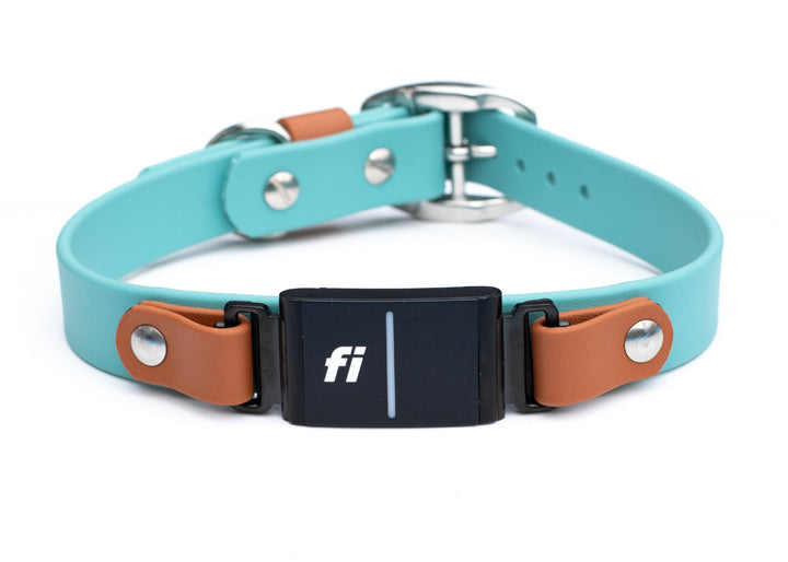 Fi Compatible Series 3/3+ Waterproof Dog Collar | SeaFlower Co