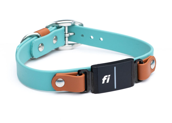 Fi Compatible Series 3/3+ Waterproof Dog Collar | SeaFlower Co