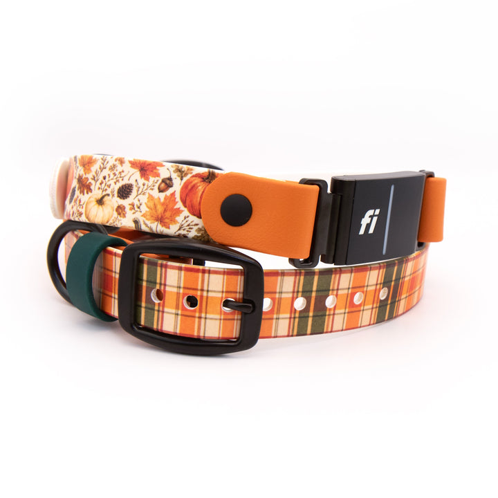 Two dog collars stacked together on a white background. The top collar has an orange and brown autumn leaf and pumpkin pattern with a tan buckle.