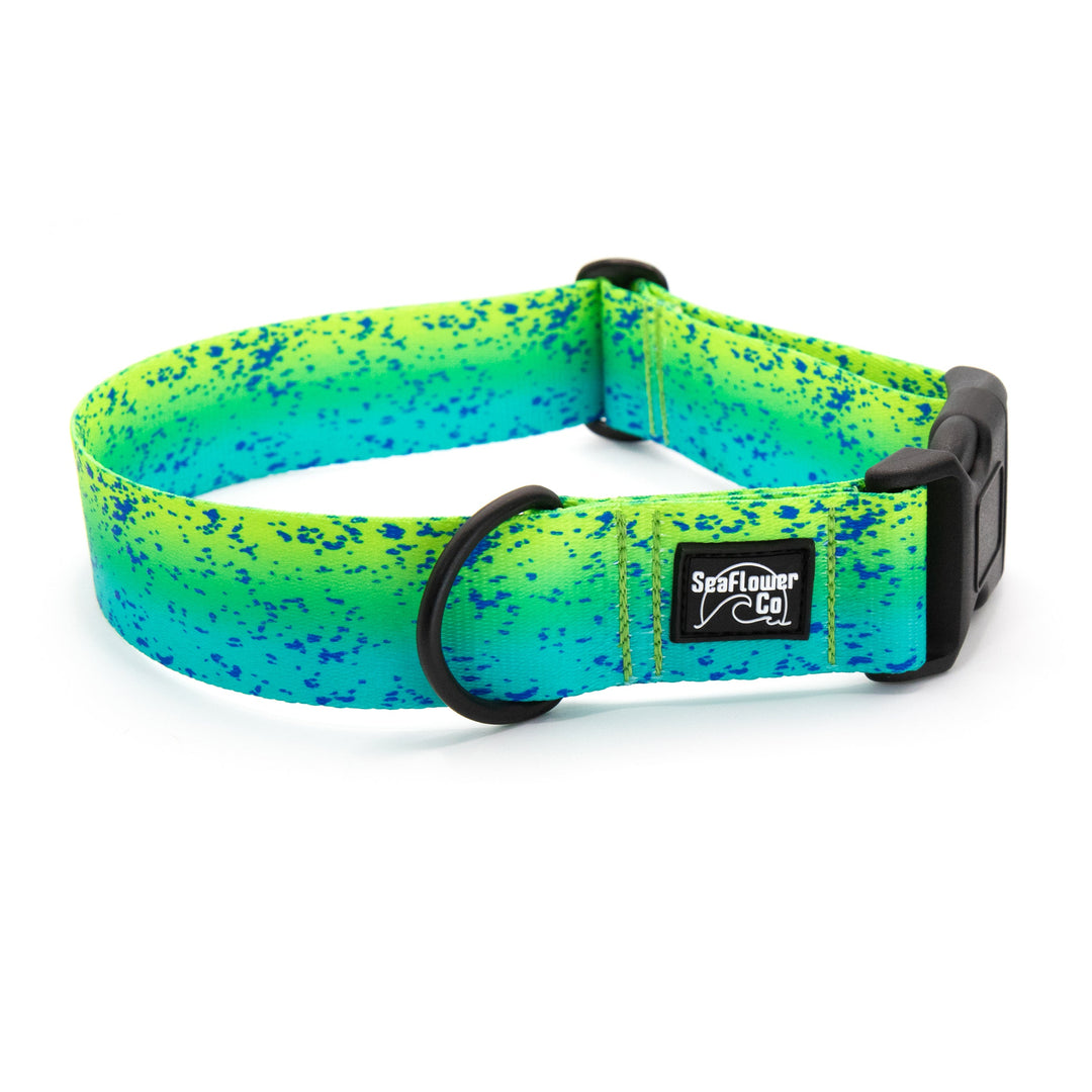 Vibrant Mahi Mahi Dog Collar | SeaFlower Co