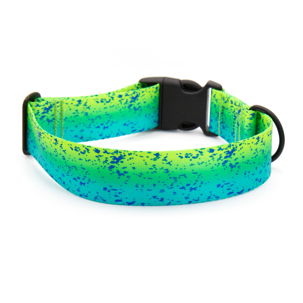 Vibrant Mahi Mahi Dog Collar | SeaFlower Co
