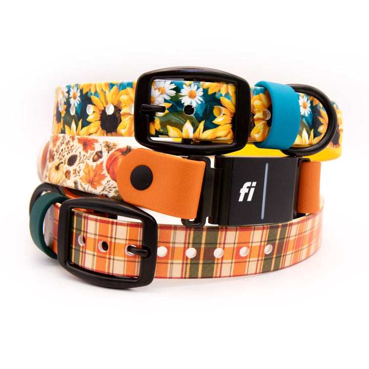 Three dog collars stacked together on a white background, featuring floral, pumpkin, and plaid patterns in orange, yellow, green, and black.