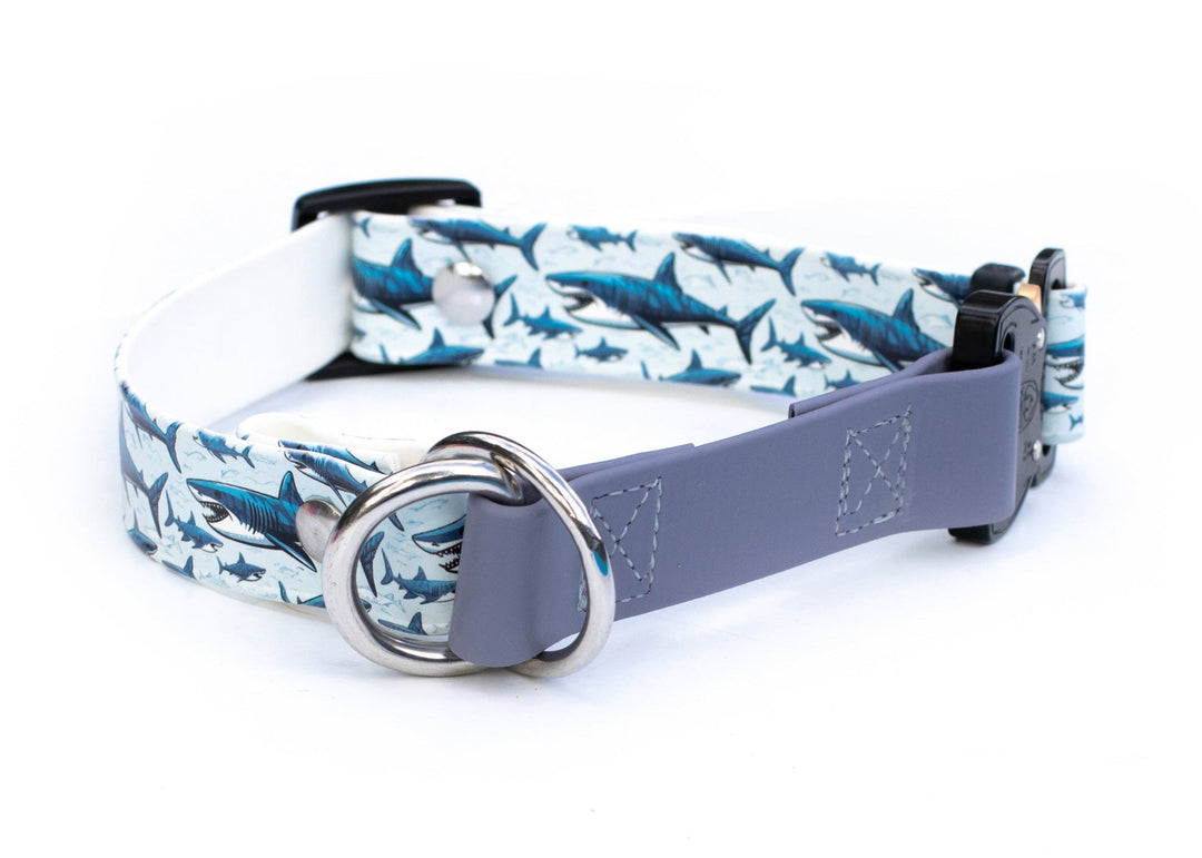 Dog collar with shark pattern on a white background