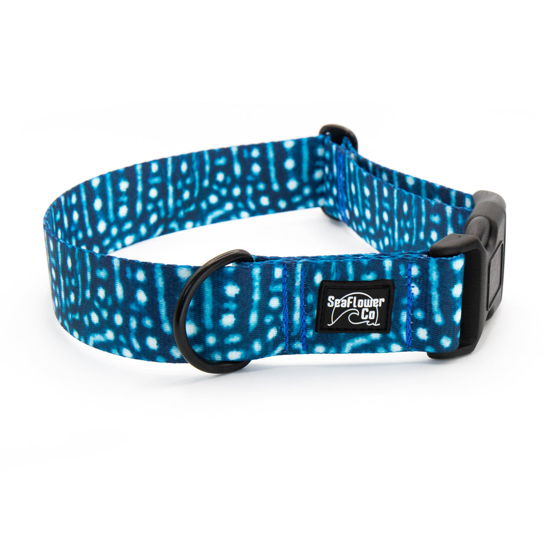 Whale Shark Dog Collar | SeaFlower Co