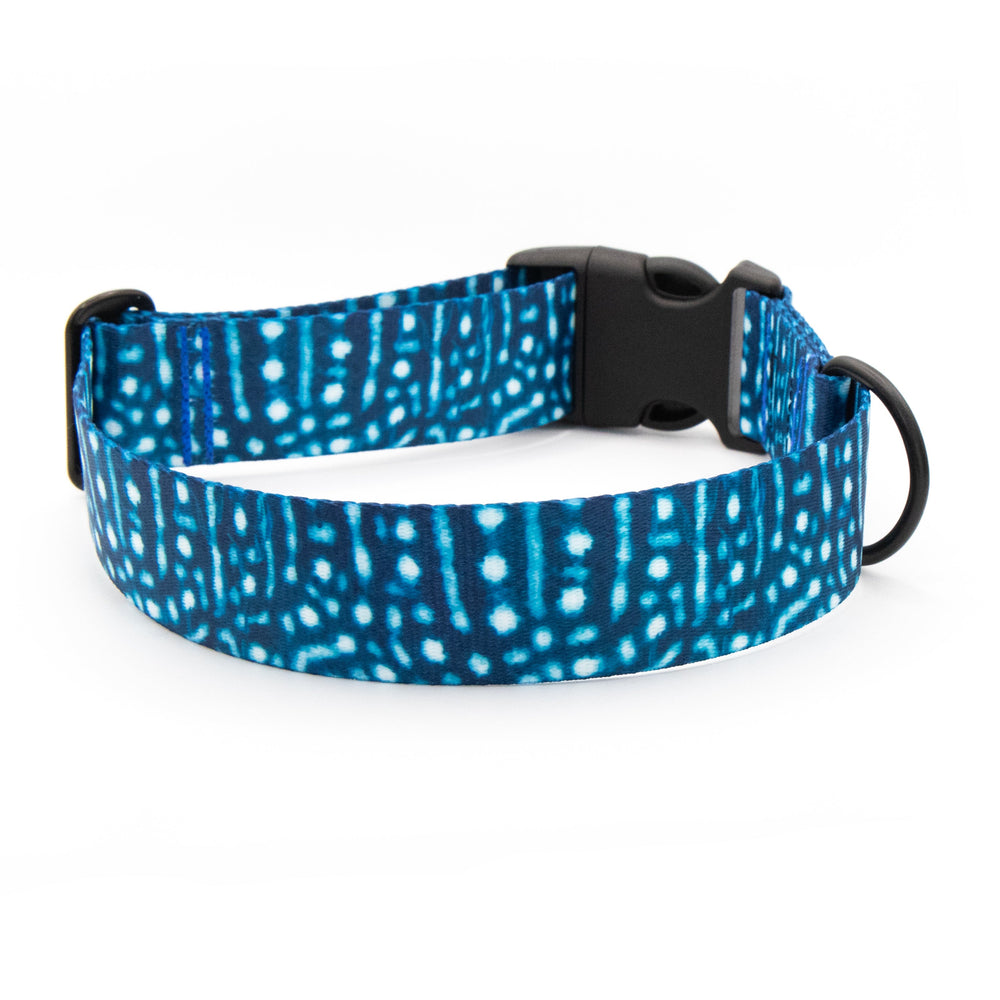 Whale Shark Dog Collar | SeaFlower Co