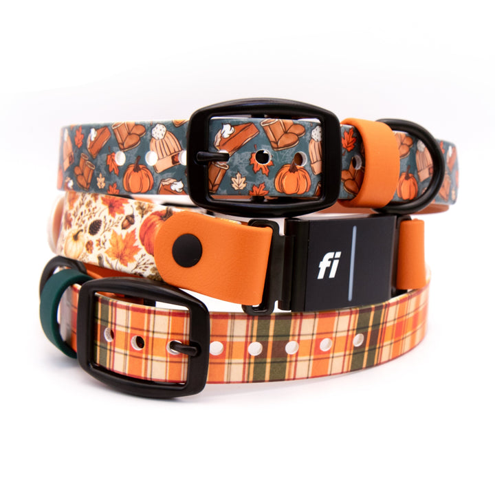 Three dog collars stacked together on a white background, featuring autumn-themed patterns including pumpkins, fall leaves, and plaid, with bright orange webbing and black metal buckles.