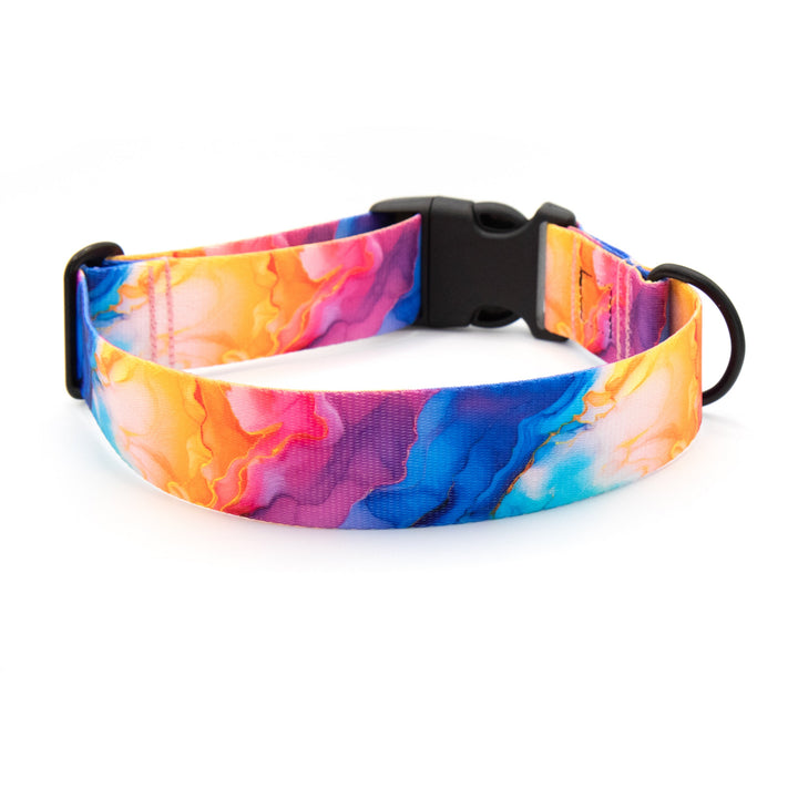 Colorful dog collar with a black buckle on a white background