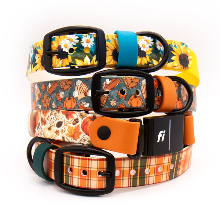 Four dog collars stacked together on a white background, featuring autumn-themed patterns including sunflowers, pumpkins, fall leaves, and plaid, with black and orange buckles.