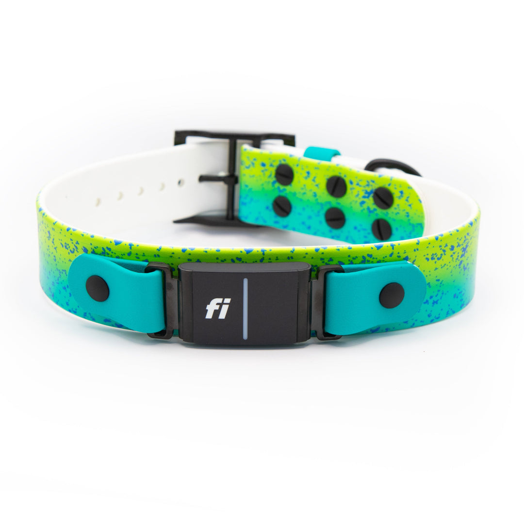 Mahi Mahi 1.5" Waterproof Fi Compatible 3/3+ BioThane Collar