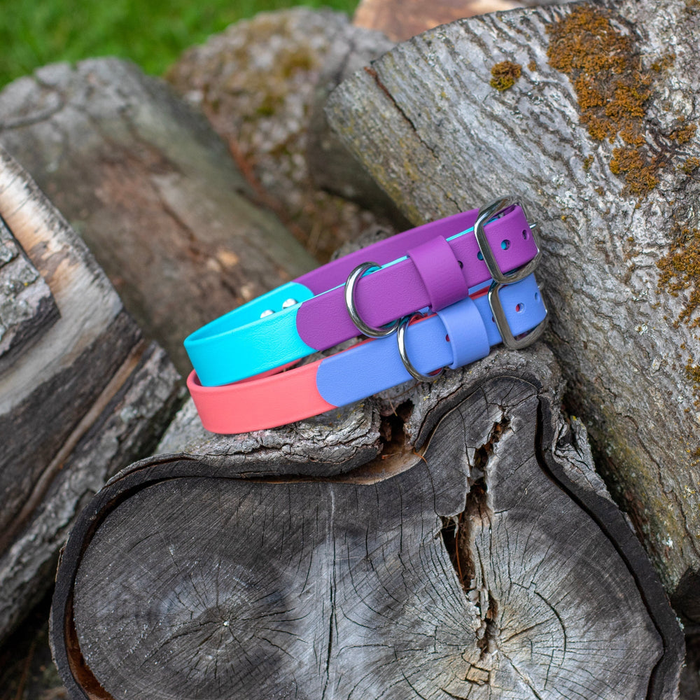 Two Toned BioThane Dog Collars | Waterproof Pet Gear