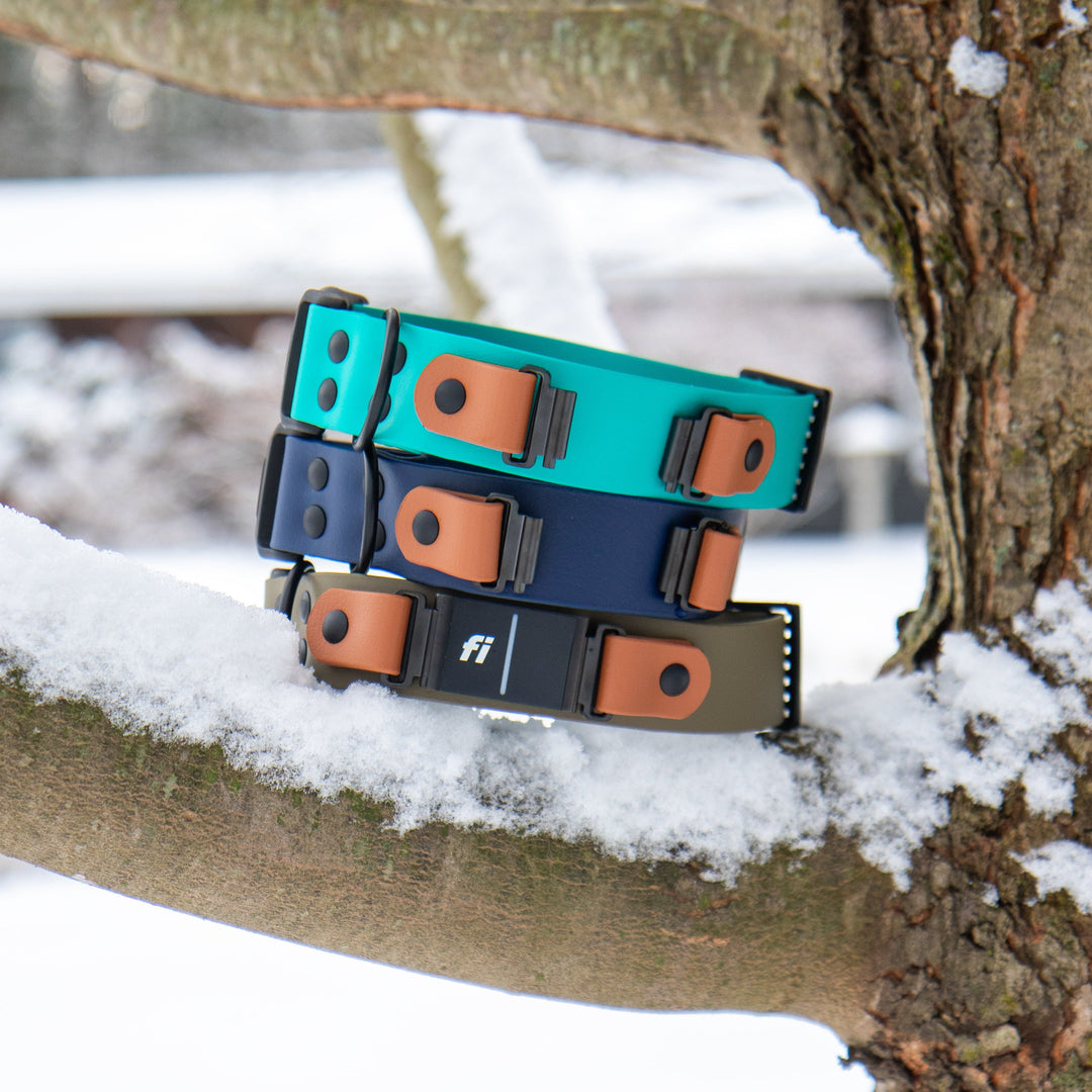 Fi Compatible 3/3+ Adjustable BioThane Collar With Quick Release Buckle | SeaFlower Co