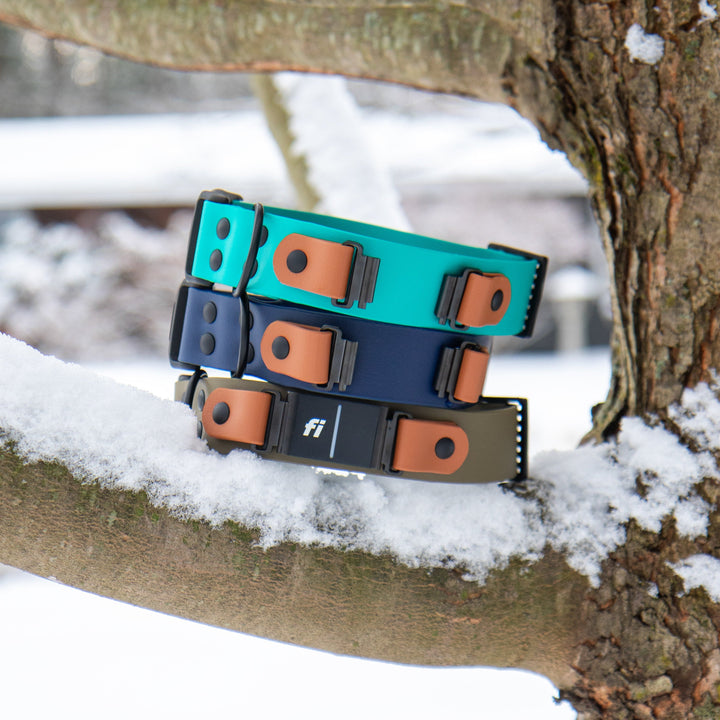 Fi Compatible 3/3+ Adjustable BioThane Collar With Quick Release Buckle | SeaFlower Co